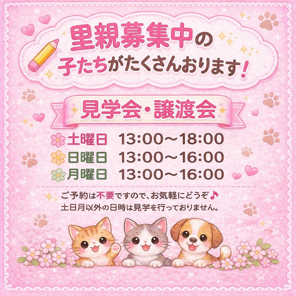 見学スケジュール